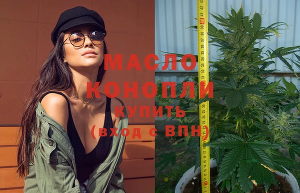 гидра Богданович