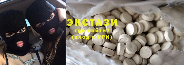 гидра Богданович
