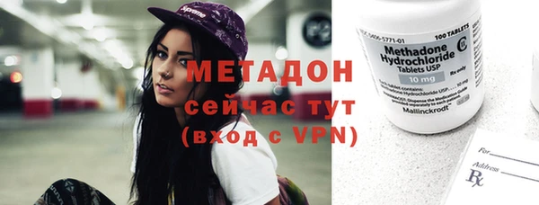 гидра Богданович