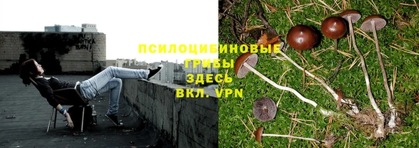 MESCALINE Богородск