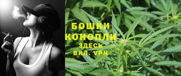гидра Богданович