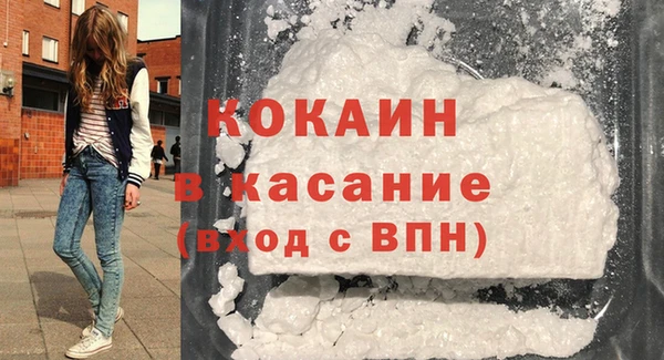 гидра Богданович