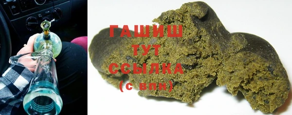 гидра Богданович