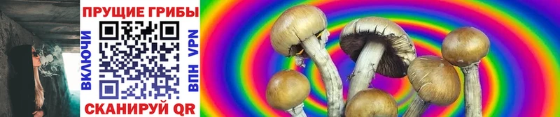 Псилоцибиновые грибы Magic Shrooms  KRAKEN зеркало  Кущёвская 
